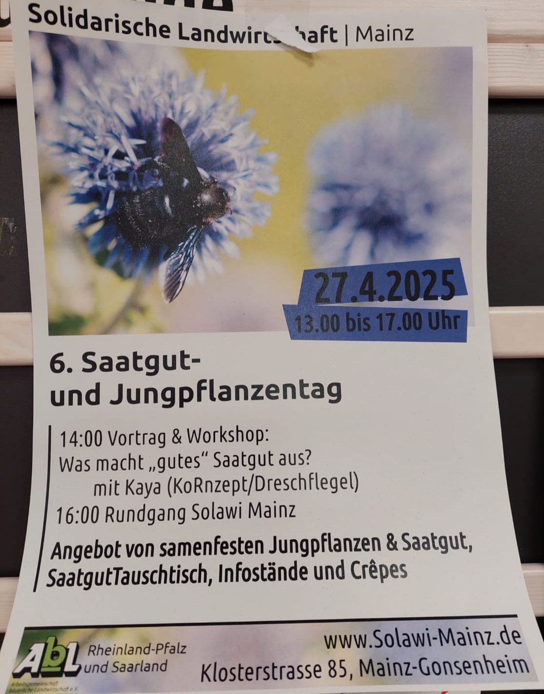 Flyer